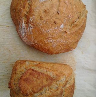 SLOW brood1 SLOW brood1