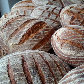 Rogge zuurdesem jan18_2 Rogge zuurdesem jan18_2