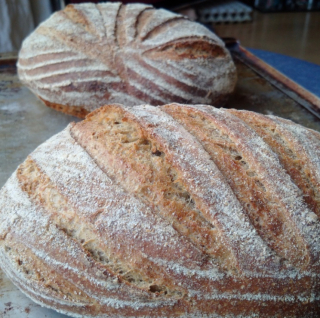 Rogge zuurdesem jan2017_2