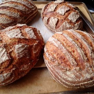 Rogge zuurdesem nieuw5